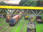 MRSL 3648